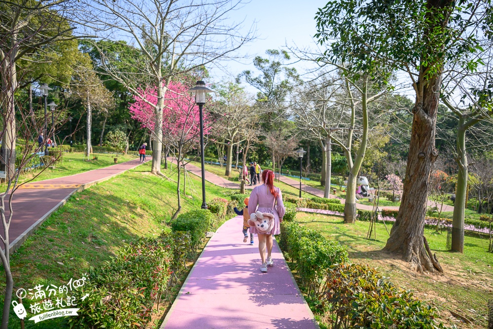 【鶯歌永吉公園】2026最新花況.炮仗花&櫻花齊放超夢幻.免門票親子共融公園~鶯歌最美的炮仗花拱門隧道！