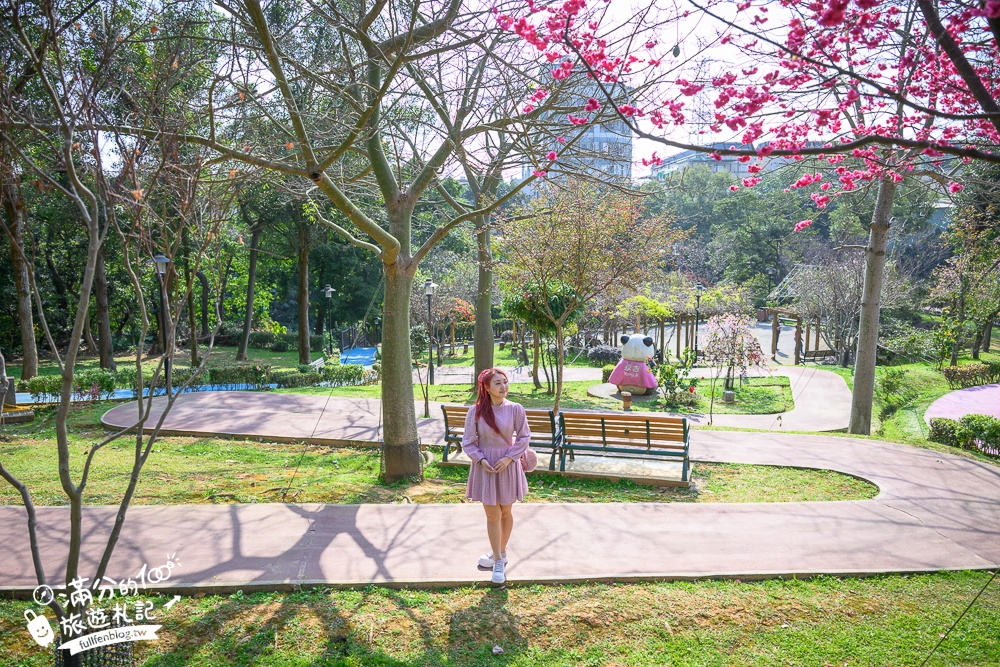 【鶯歌永吉公園】2026最新花況.炮仗花&櫻花齊放超夢幻.免門票親子共融公園~鶯歌最美的炮仗花拱門隧道！