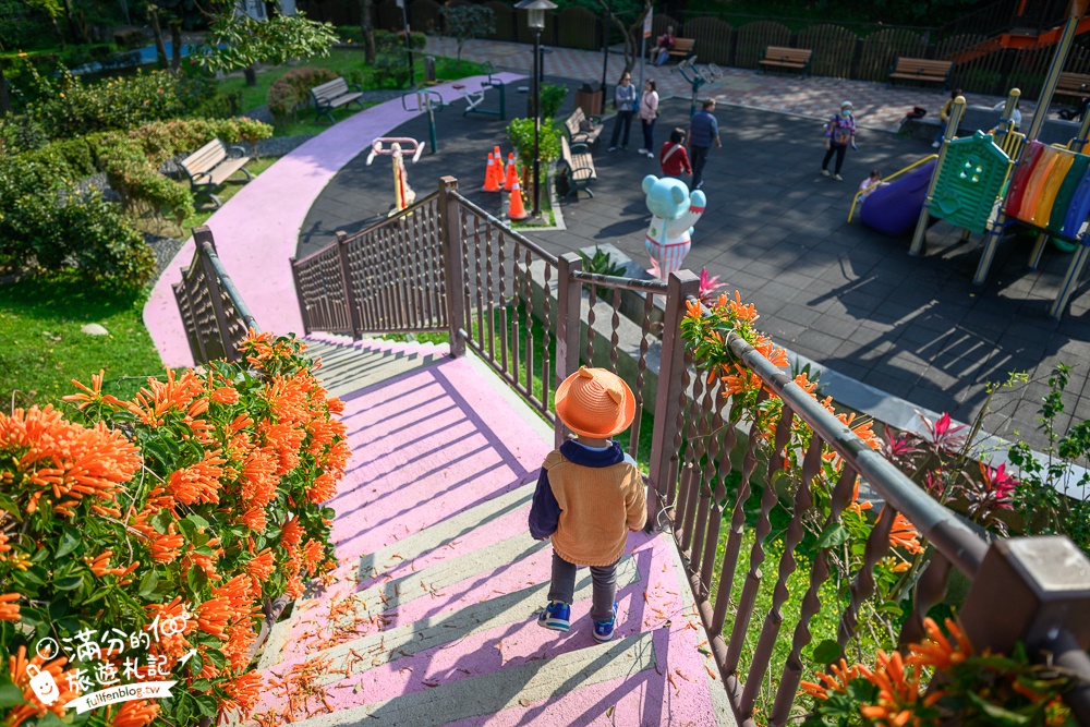 【鶯歌永吉公園】2026最新花況.炮仗花&櫻花齊放超夢幻.免門票親子共融公園~鶯歌最美的炮仗花拱門隧道！