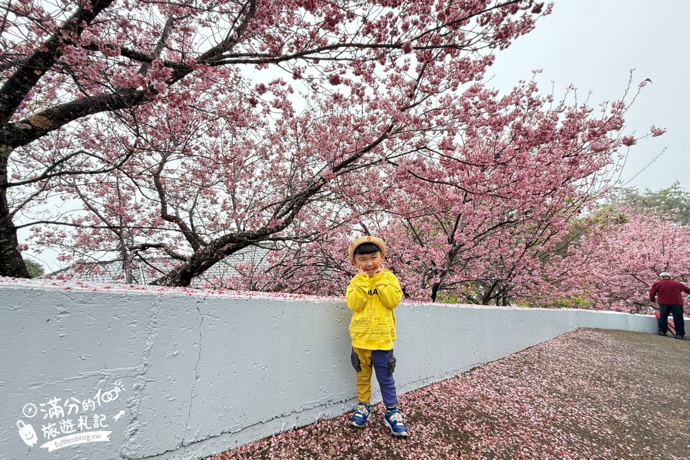 【2026清境景點一日遊】TOP15個清境景點推薦,清境農場.高空步道.小瑞士花園,清境親子景點.美食.住宿飯店完整攻略!