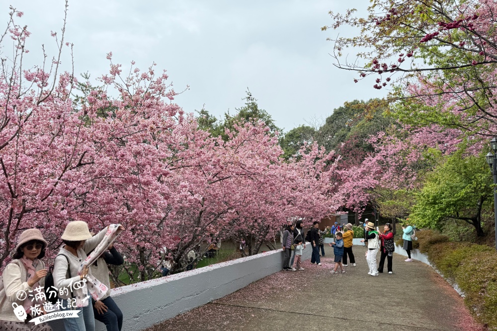 【2026清境景點一日遊】TOP15個清境景點推薦,清境農場.高空步道.小瑞士花園,清境親子景點.美食.住宿飯店完整攻略!