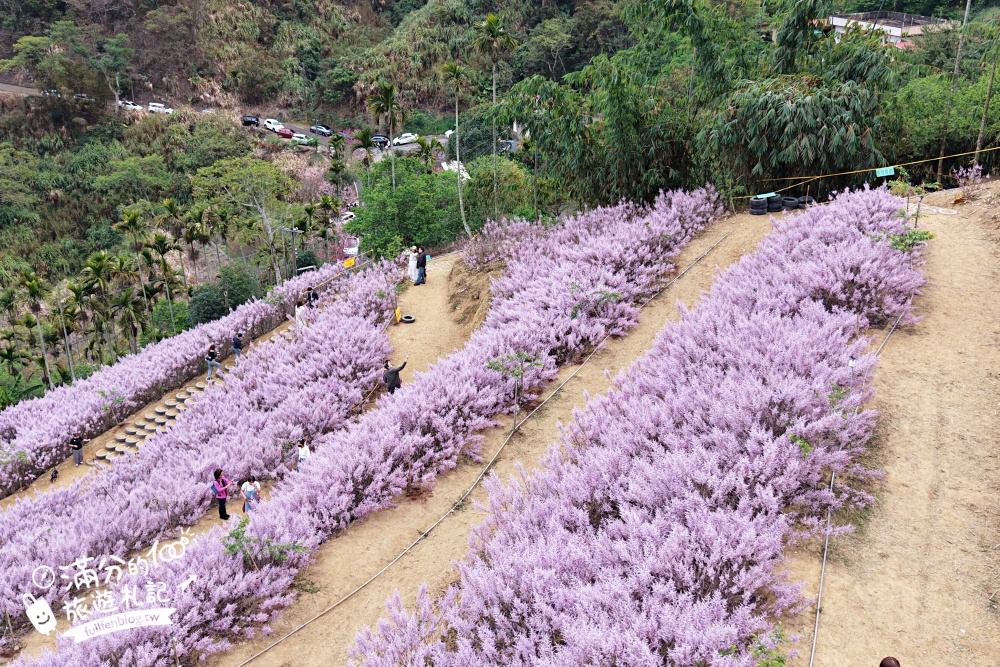 【2026國姓景點一日遊】TOP10國姓景點推薦,最新春秋山林.採草莓.橋聳雲天.燈籠階梯.水鹿咖啡.元寶土地公廟,南投美食景點攻略!