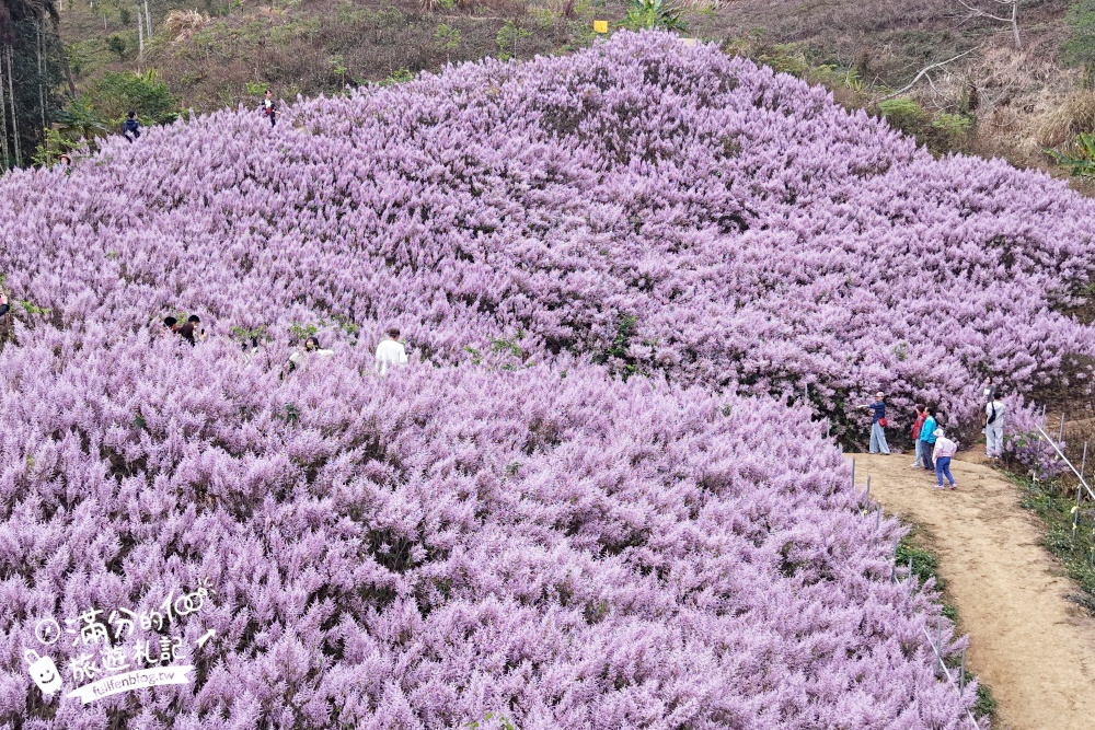 【2026國姓景點一日遊】TOP10國姓景點推薦,最新春秋山林.採草莓.橋聳雲天.燈籠階梯.水鹿咖啡.元寶土地公廟,南投美食景點攻略!