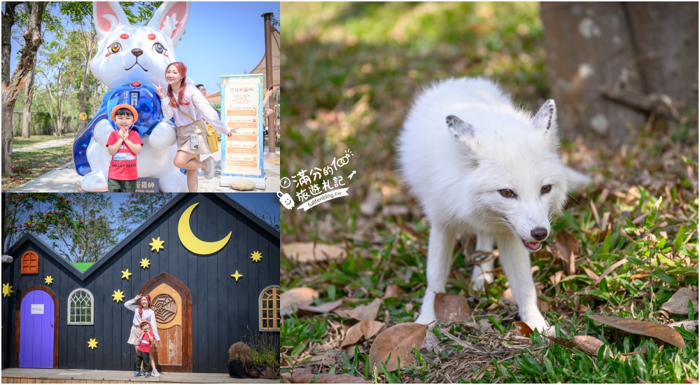 高雄景點【野森動物學校】最新門票資訊＆玩樂攻略!必玩沙丘部落和狐狸谷.與狐狸.狐獴.老鷹.土撥鼠近距離互動! @滿分的旅遊札記