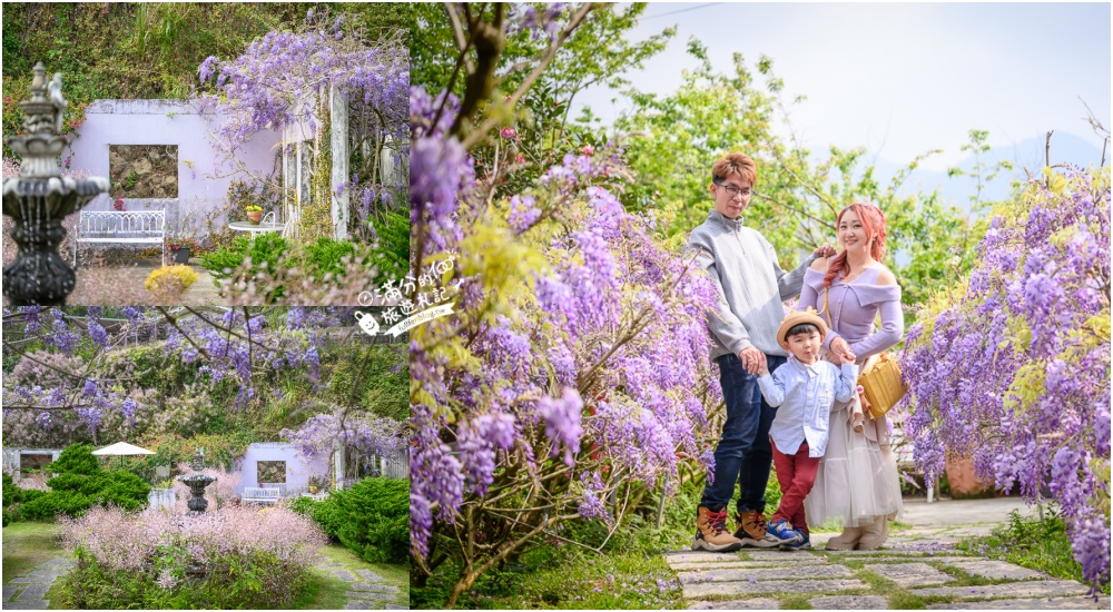 【2026阿喜紫藤花季】瑞里最美紫藤花園民宿,賞花預約方式攻略,山城中最美紫色仙境！ @滿分的旅遊札記