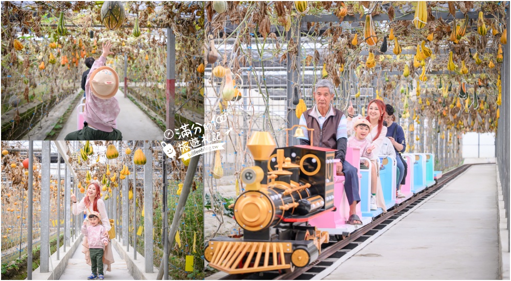延伸閱讀：雲林【綠金蕃茄南瓜農場】全台唯一南瓜隧道小火車.可無限次搭乘.全室內景點.玩拍七彩南瓜.還有採果體驗唷!