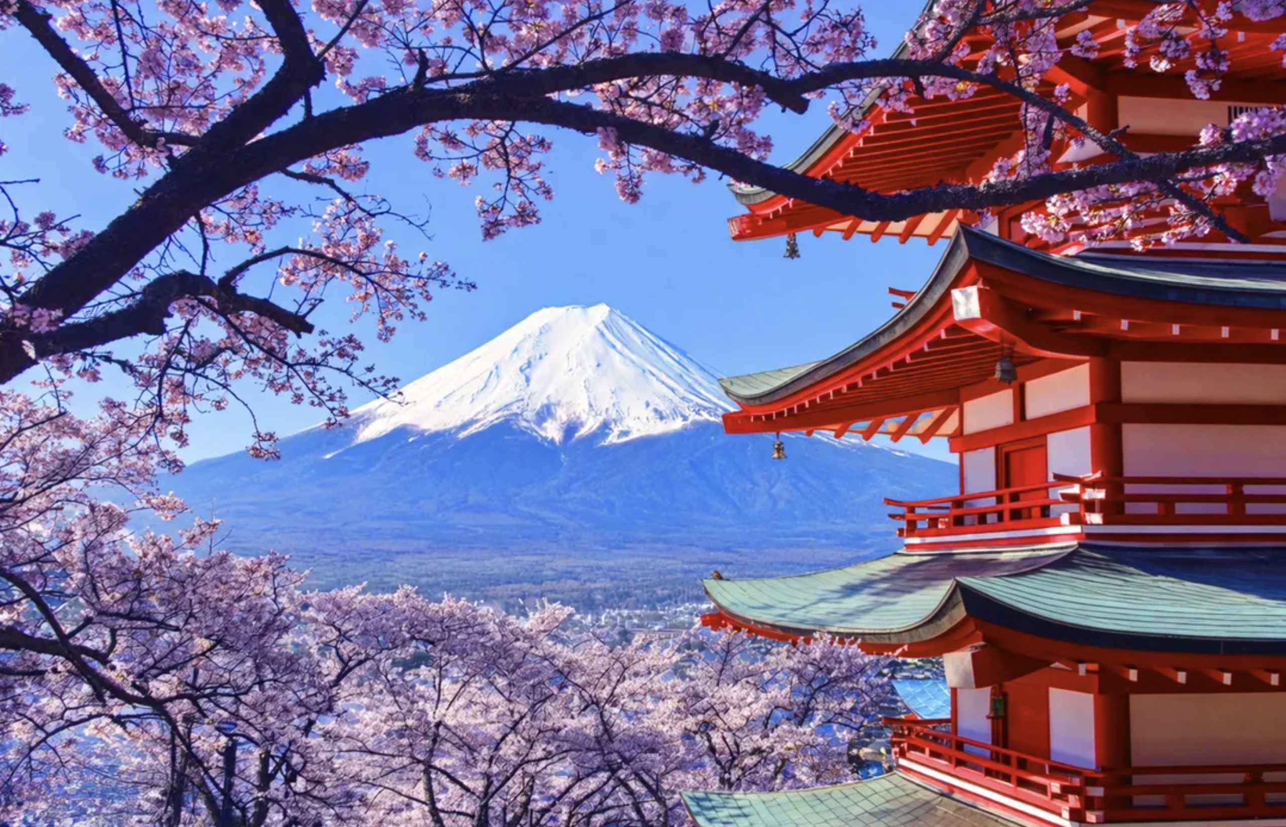 【2026東京櫻花景點推薦】TOP8個東京賞櫻櫻花景點.東京賞櫻排行榜~穿和服賞櫻花玩樂攻略!