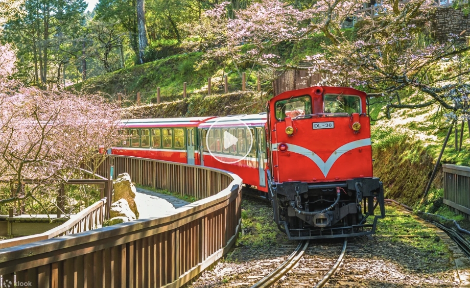 【2026阿里山國家森林遊樂區】TOP15嘉義阿里山景點推薦,看日出.搭小火車.吃鐵路便當.走天空步道.遊姐妹潭~美食景點住宿攻略!