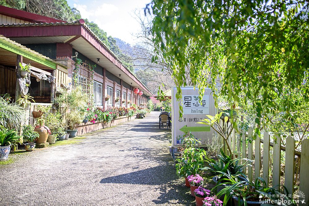 【獅潭景點一日遊】TOP7獅潭景點推薦.苗栗仙草的故鄉.必吃仙草料理.逛老街.特色親子公園.季節限定花海!