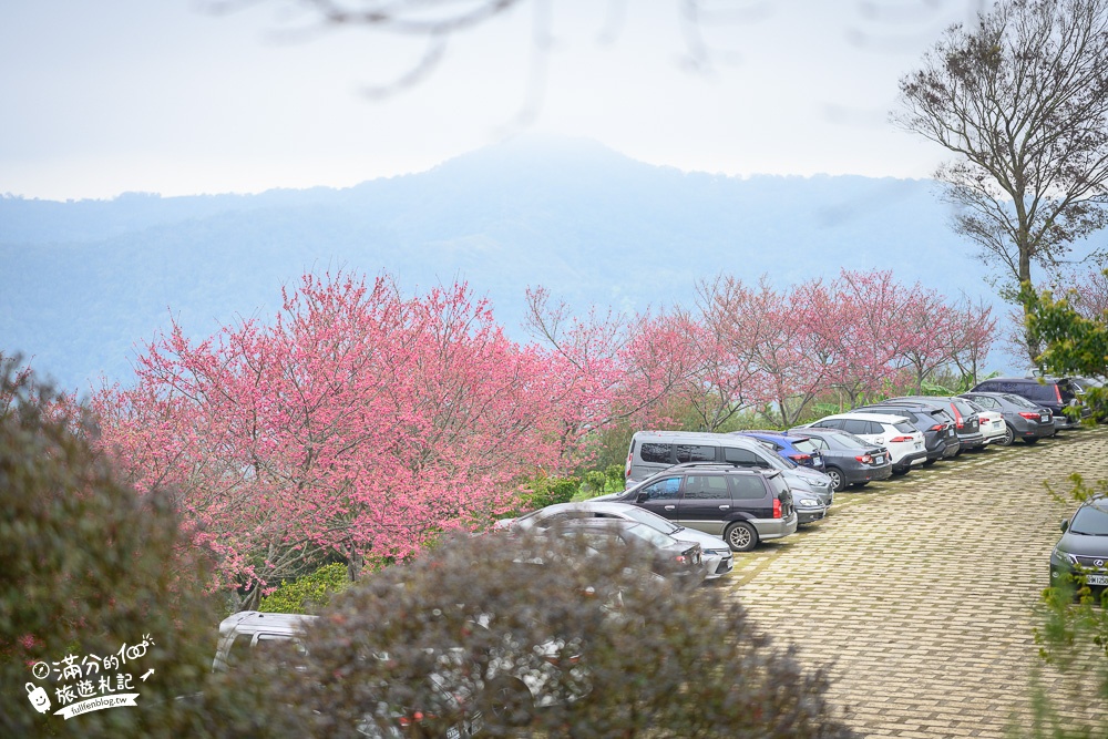 【獅潭景點一日遊】TOP7獅潭景點推薦.苗栗仙草的故鄉.必吃仙草料理.逛老街.特色親子公園.季節限定花海!