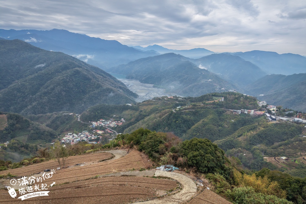 南投【星嵐拉麵】清境免門票浪漫櫻花林.賞櫻花.吃拉麵.望山嵐.視覺與味覺的雙重滿足!