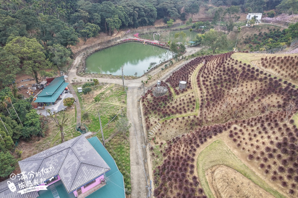 雲林新景點【有風的地方森林療癒咖啡】麝香木粉紅階梯超夢幻.賞花海.登大峽谷巨石,自然景觀好震撼! 雲林新景點【有風的地方森林療癒咖啡】麝香木粉紅階梯超夢幻.賞花海.登大峽谷巨石,自然景觀好震撼!