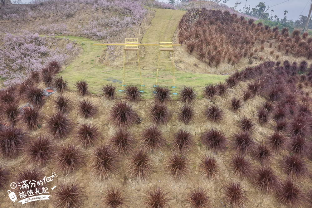 雲林新景點【有風的地方森林療癒咖啡】麝香木粉紅階梯超夢幻.賞花海.登大峽谷巨石,自然景觀好震撼! 雲林新景點【有風的地方森林療癒咖啡】麝香木粉紅階梯超夢幻.賞花海.登大峽谷巨石,自然景觀好震撼!