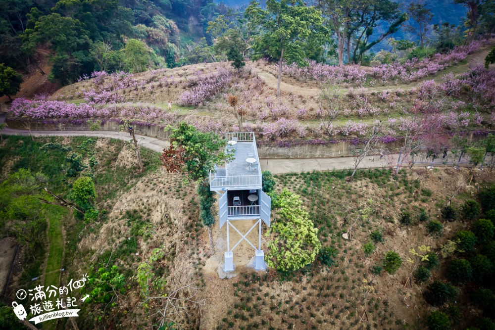 雲林新景點【有風的地方森林療癒咖啡】麝香木粉紅階梯超夢幻.賞花海.登大峽谷巨石,自然景觀好震撼! 雲林新景點【有風的地方森林療癒咖啡】麝香木粉紅階梯超夢幻.賞花海.登大峽谷巨石,自然景觀好震撼!
