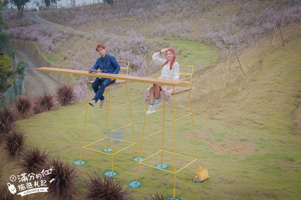 雲林新景點【有風的地方森林療癒咖啡】麝香木粉紅階梯超夢幻.賞花海.登大峽谷巨石,自然景觀好震撼! 雲林新景點【有風的地方森林療癒咖啡】麝香木粉紅階梯超夢幻.賞花海.登大峽谷巨石,自然景觀好震撼!