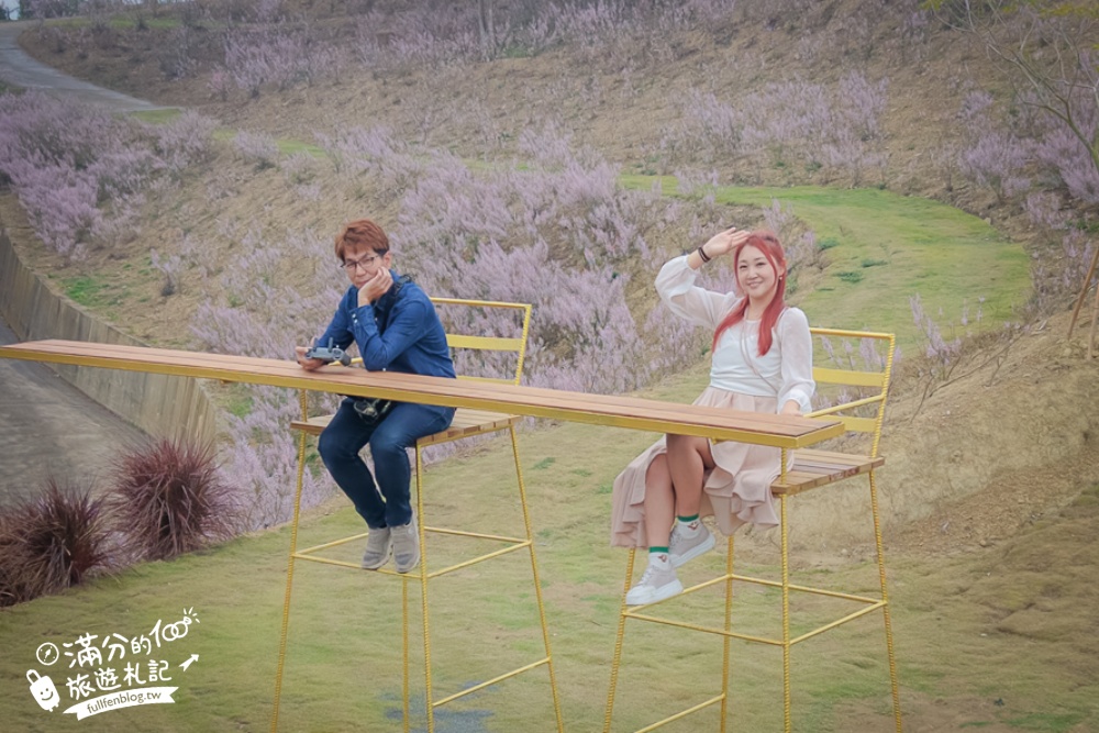 雲林新景點【有風的地方森林療癒咖啡】麝香木粉紅階梯超夢幻.賞花海.登大峽谷巨石,自然景觀好震撼! 雲林新景點【有風的地方森林療癒咖啡】麝香木粉紅階梯超夢幻.賞花海.登大峽谷巨石,自然景觀好震撼!