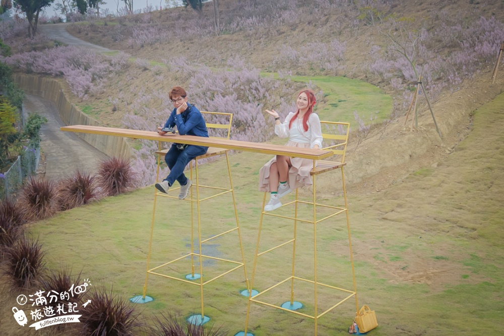 雲林新景點【有風的地方森林療癒咖啡】麝香木粉紅階梯超夢幻.賞花海.登大峽谷巨石,自然景觀好震撼! 雲林新景點【有風的地方森林療癒咖啡】麝香木粉紅階梯超夢幻.賞花海.登大峽谷巨石,自然景觀好震撼!