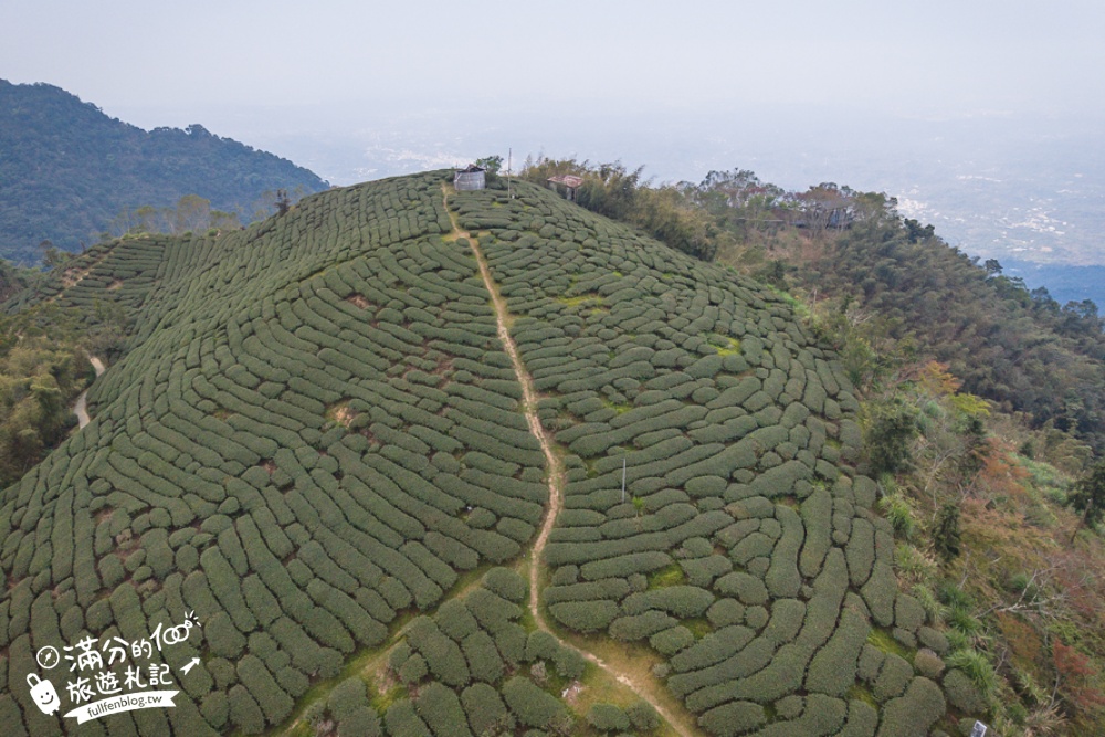 【2026梅山太平雲梯最新玩法】走吊橋.望茶田.逛老街.嘉義海拔最高最美天空步道, 帶你漫步在雲端!