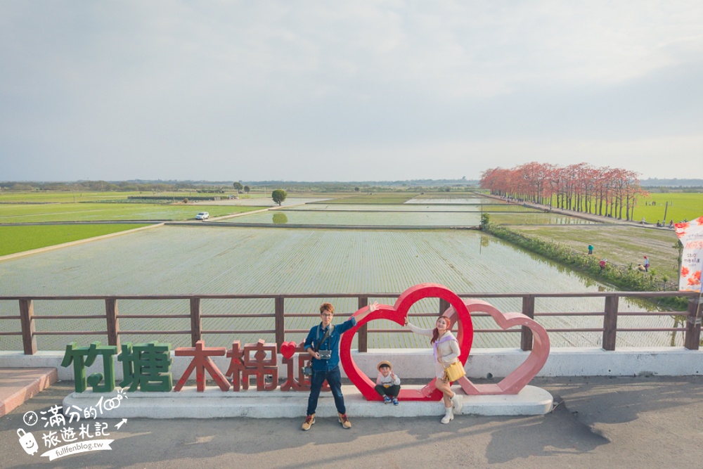【彰化竹塘木棉花道】水神樹公田野間的木棉花秘境，浪漫雙心太陽花隧道!