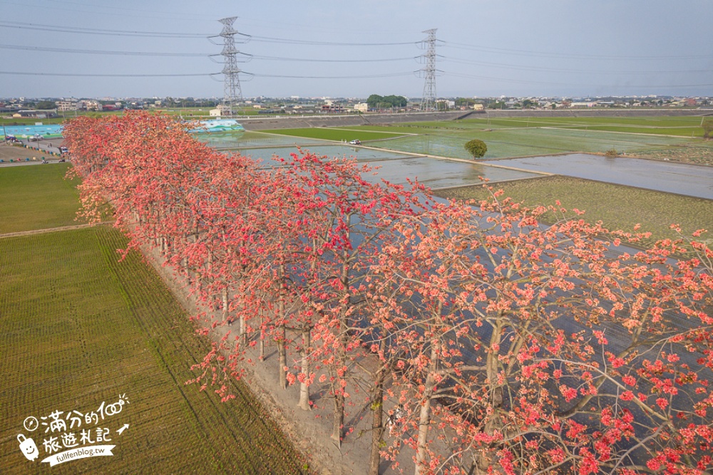 【彰化竹塘木棉花道】水神樹公田野間的木棉花秘境，浪漫雙心太陽花隧道!