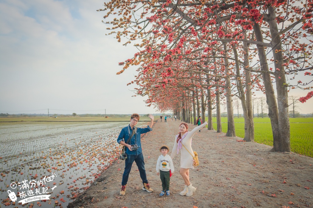 【彰化竹塘木棉花道】水神樹公田野間的木棉花秘境，浪漫雙心太陽花隧道!