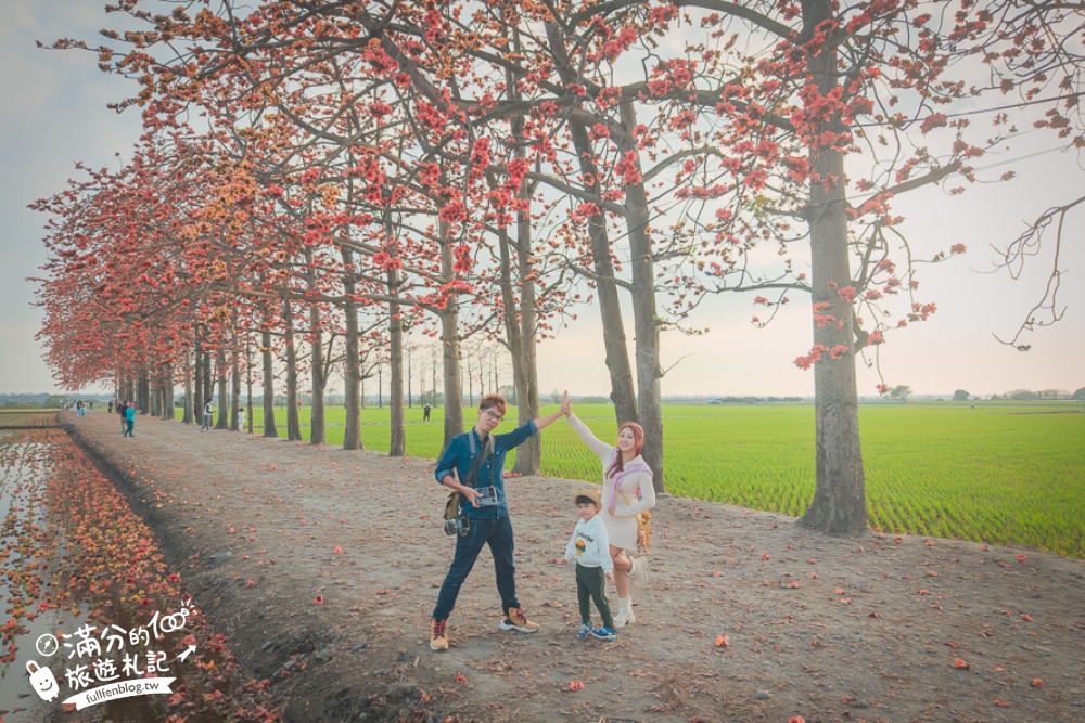 【彰化竹塘木棉花道】水神樹公田野間的木棉花秘境，浪漫雙心太陽花隧道!
