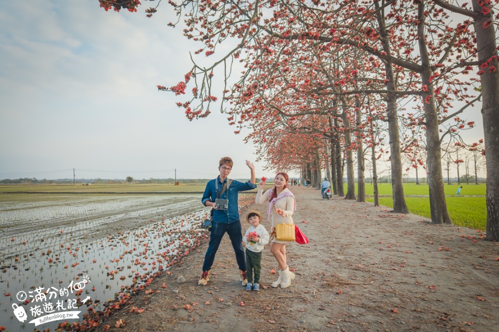 【彰化竹塘木棉花道】水神樹公田野間的木棉花秘境，浪漫雙心太陽花隧道!