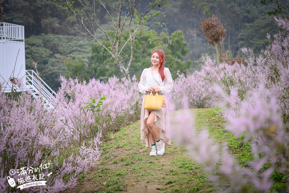 雲林新景點【有風的地方森林療癒咖啡】麝香木粉紅階梯超夢幻.賞花海.登大峽谷巨石,自然景觀好震撼! 雲林新景點【有風的地方森林療癒咖啡】麝香木粉紅階梯超夢幻.賞花海.登大峽谷巨石,自然景觀好震撼!