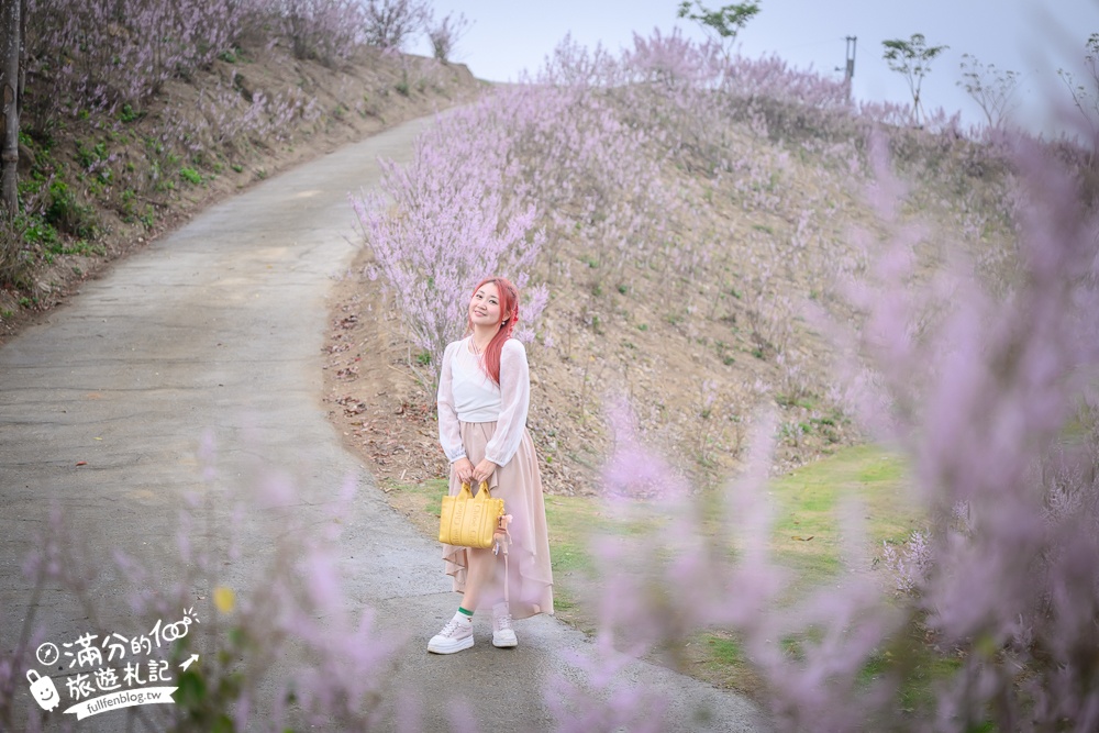 雲林新景點【有風的地方森林療癒咖啡】麝香木粉紅階梯超夢幻.賞花海.登大峽谷巨石,自然景觀好震撼! 雲林新景點【有風的地方森林療癒咖啡】麝香木粉紅階梯超夢幻.賞花海.登大峽谷巨石,自然景觀好震撼!