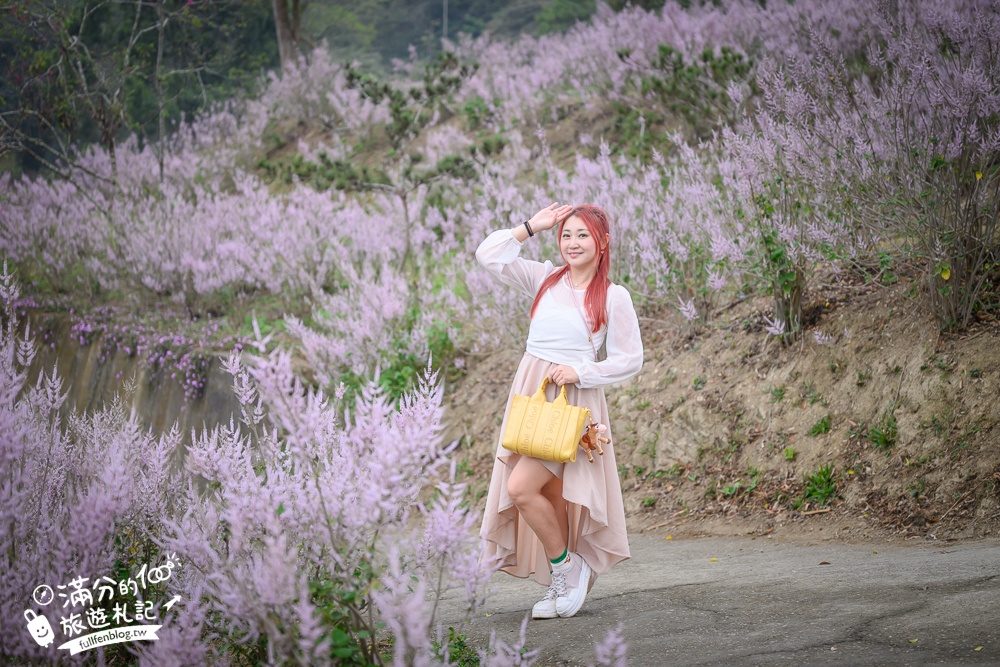 雲林新景點【有風的地方森林療癒咖啡】麝香木粉紅階梯超夢幻.賞花海.登大峽谷巨石,自然景觀好震撼! 雲林新景點【有風的地方森林療癒咖啡】麝香木粉紅階梯超夢幻.賞花海.登大峽谷巨石,自然景觀好震撼!