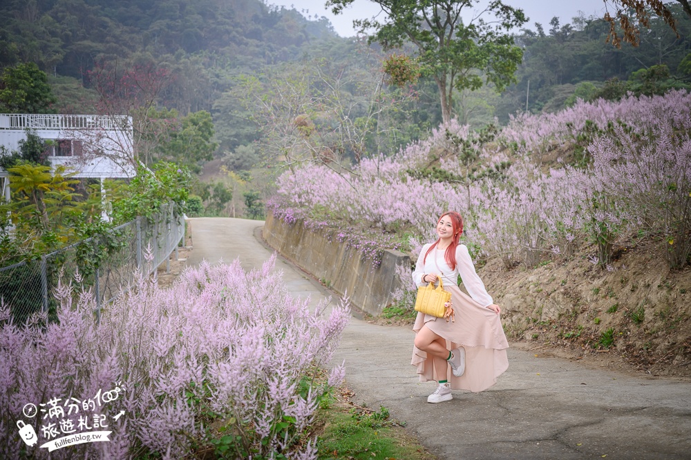 雲林新景點【有風的地方森林療癒咖啡】麝香木粉紅階梯超夢幻.賞花海.登大峽谷巨石,自然景觀好震撼! 雲林新景點【有風的地方森林療癒咖啡】麝香木粉紅階梯超夢幻.賞花海.登大峽谷巨石,自然景觀好震撼!