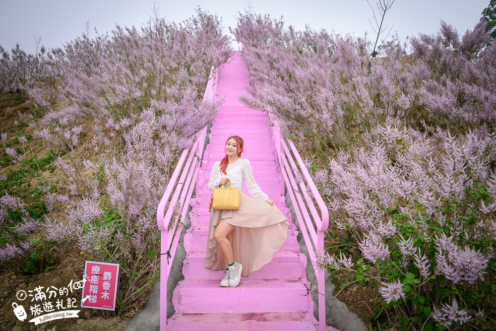 雲林新景點【有風的地方森林療癒咖啡】麝香木粉紅階梯超夢幻.賞花海.登大峽谷巨石,自然景觀好震撼! 雲林新景點【有風的地方森林療癒咖啡】麝香木粉紅階梯超夢幻.賞花海.登大峽谷巨石,自然景觀好震撼!