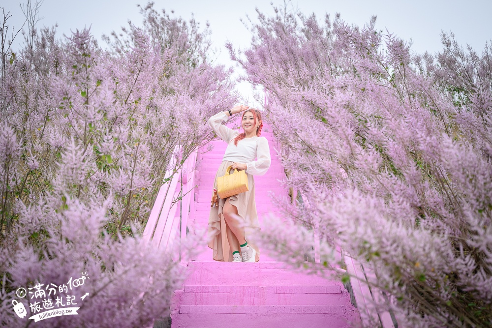 雲林新景點【有風的地方森林療癒咖啡】麝香木粉紅階梯超夢幻.賞花海.登大峽谷巨石,自然景觀好震撼! 雲林新景點【有風的地方森林療癒咖啡】麝香木粉紅階梯超夢幻.賞花海.登大峽谷巨石,自然景觀好震撼!
