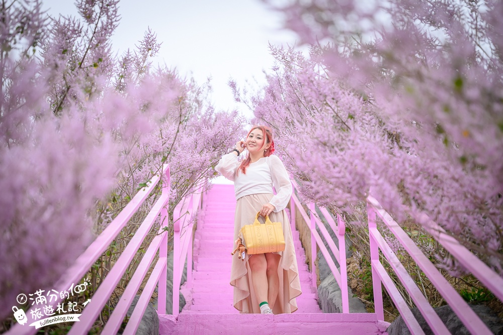 雲林新景點【有風的地方森林療癒咖啡】麝香木粉紅階梯超夢幻.賞花海.登大峽谷巨石,自然景觀好震撼! 雲林新景點【有風的地方森林療癒咖啡】麝香木粉紅階梯超夢幻.賞花海.登大峽谷巨石,自然景觀好震撼!