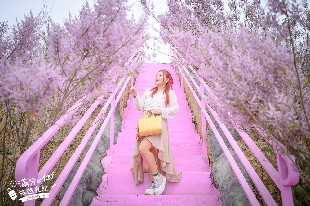 雲林新景點【有風的地方森林療癒咖啡】麝香木粉紅階梯超夢幻.賞花海.登大峽谷巨石,自然景觀好震撼! 雲林新景點【有風的地方森林療癒咖啡】麝香木粉紅階梯超夢幻.賞花海.登大峽谷巨石,自然景觀好震撼!