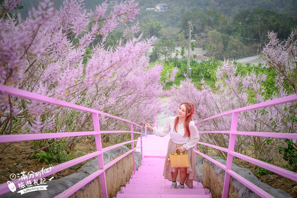 雲林新景點【有風的地方森林療癒咖啡】麝香木粉紅階梯超夢幻.賞花海.登大峽谷巨石,自然景觀好震撼! 雲林新景點【有風的地方森林療癒咖啡】麝香木粉紅階梯超夢幻.賞花海.登大峽谷巨石,自然景觀好震撼!
