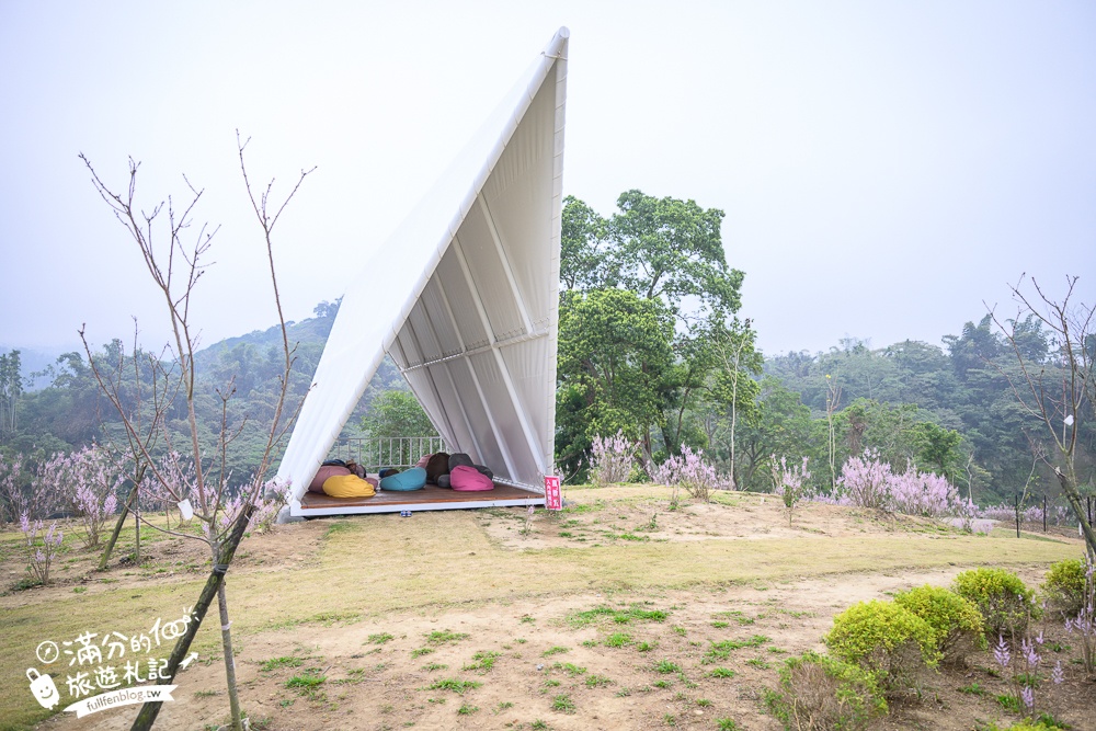 雲林新景點【有風的地方森林療癒咖啡】麝香木粉紅階梯超夢幻.賞花海.登大峽谷巨石,自然景觀好震撼! 雲林新景點【有風的地方森林療癒咖啡】麝香木粉紅階梯超夢幻.賞花海.登大峽谷巨石,自然景觀好震撼!