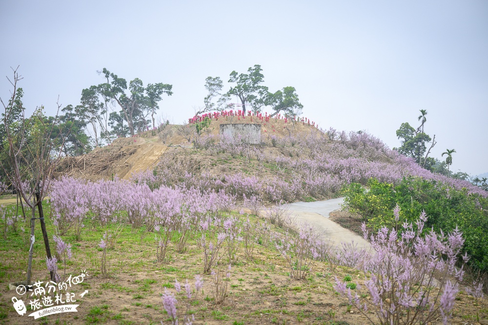 雲林新景點【有風的地方森林療癒咖啡】麝香木粉紅階梯超夢幻.賞花海.登大峽谷巨石,自然景觀好震撼! 雲林新景點【有風的地方森林療癒咖啡】麝香木粉紅階梯超夢幻.賞花海.登大峽谷巨石,自然景觀好震撼!
