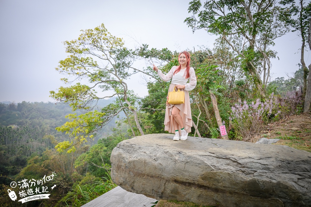 雲林新景點【有風的地方森林療癒咖啡】麝香木粉紅階梯超夢幻.賞花海.登大峽谷巨石,自然景觀好震撼! 雲林新景點【有風的地方森林療癒咖啡】麝香木粉紅階梯超夢幻.賞花海.登大峽谷巨石,自然景觀好震撼!