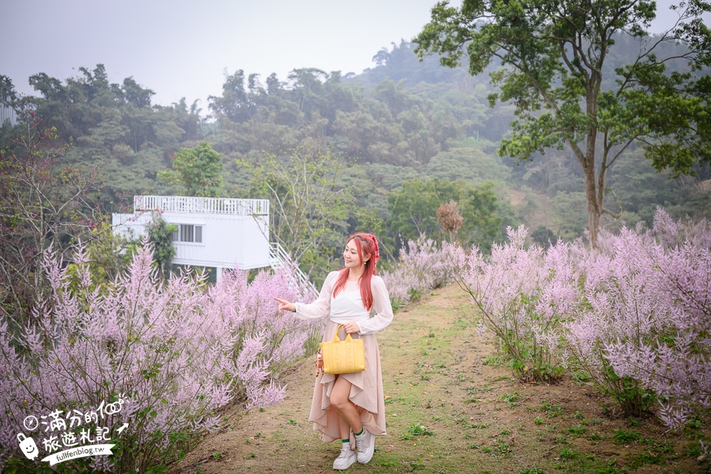 雲林新景點【有風的地方森林療癒咖啡】麝香木粉紅階梯超夢幻.賞花海.登大峽谷巨石,自然景觀好震撼! 雲林新景點【有風的地方森林療癒咖啡】麝香木粉紅階梯超夢幻.賞花海.登大峽谷巨石,自然景觀好震撼!