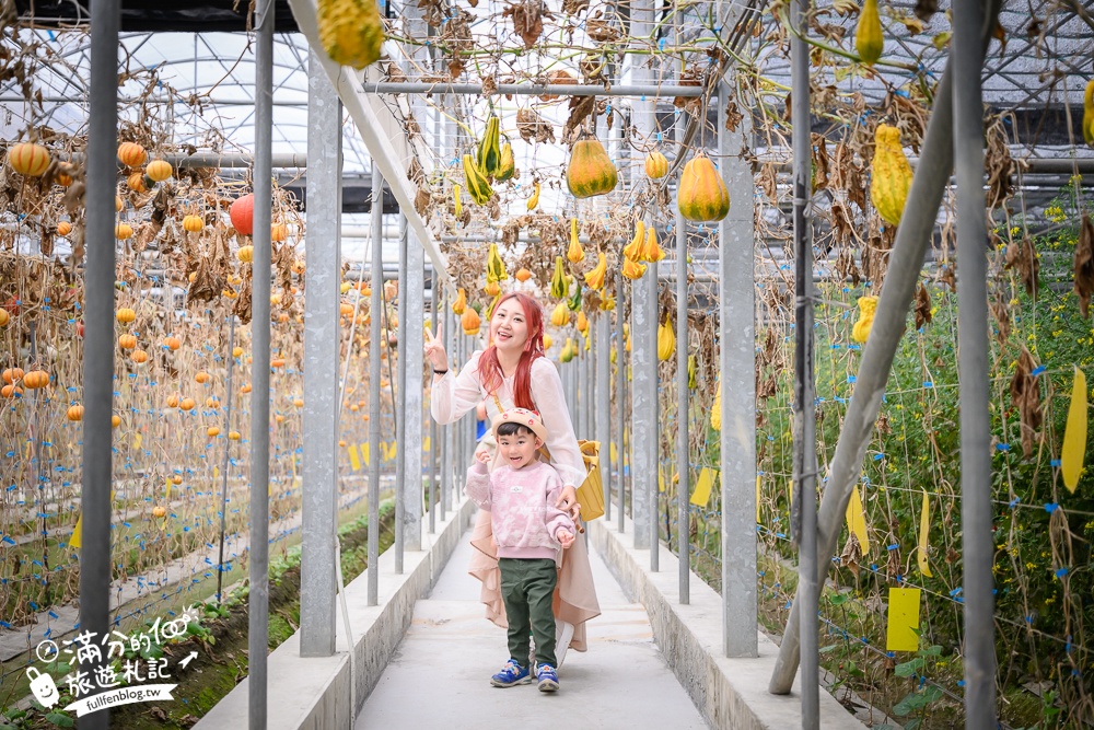 雲林【綠金蕃茄南瓜農場】全台唯一南瓜隧道小火車.可無限次搭乘.全室內景點.玩拍七彩南瓜.還有採果體驗唷!