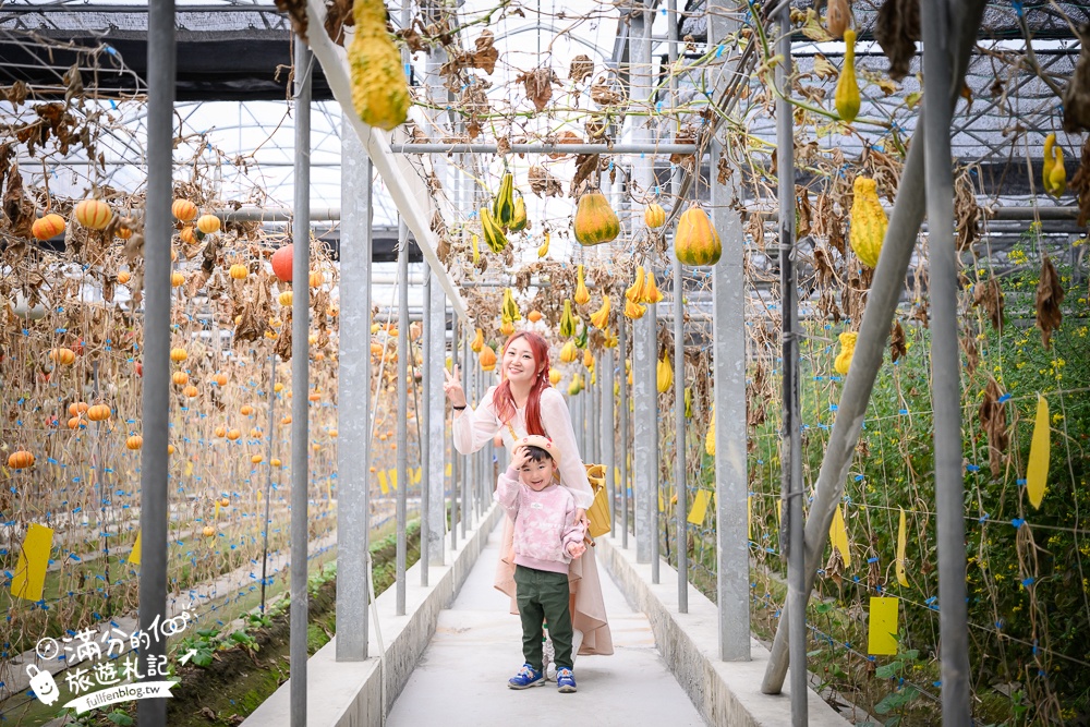 雲林【綠金蕃茄南瓜農場】全台唯一南瓜隧道小火車.可無限次搭乘.全室內景點.玩拍七彩南瓜.還有採果體驗唷!