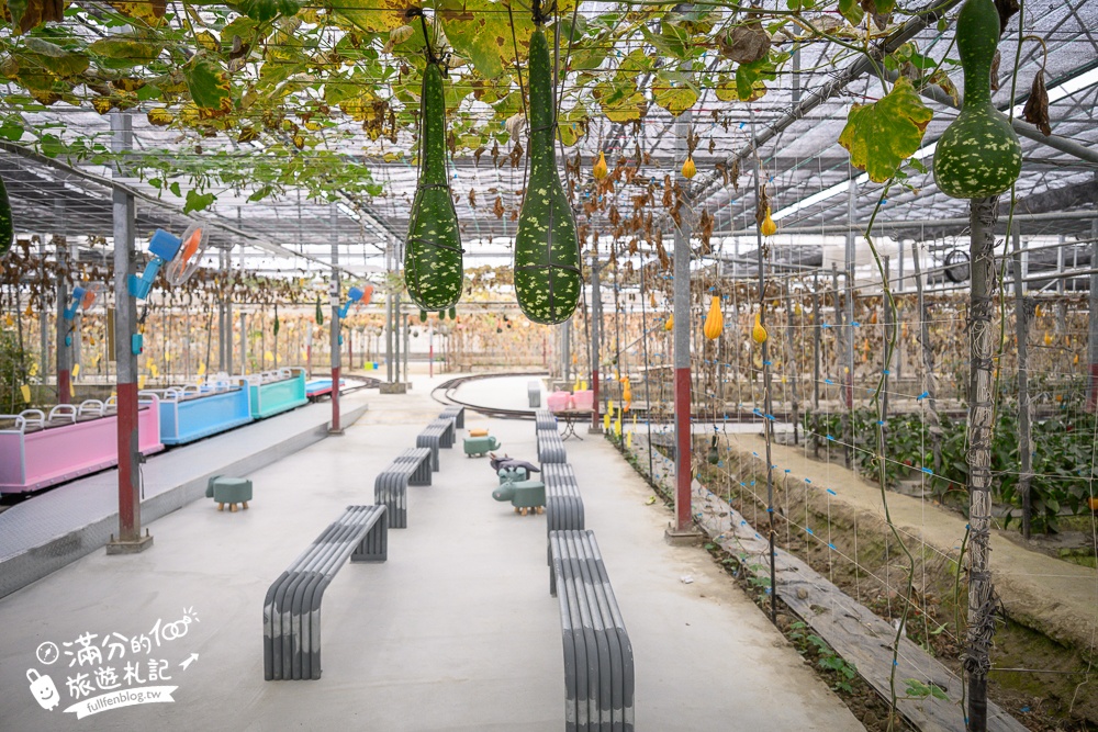 雲林【綠金蕃茄南瓜農場】全台唯一南瓜隧道小火車.可無限次搭乘.全室內景點.玩拍七彩南瓜.還有採果體驗唷!
