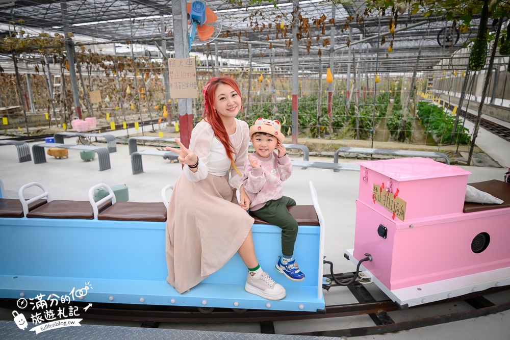 雲林【綠金蕃茄南瓜農場】全台唯一南瓜隧道小火車.可無限次搭乘.全室內景點.玩拍七彩南瓜.還有採果體驗唷!