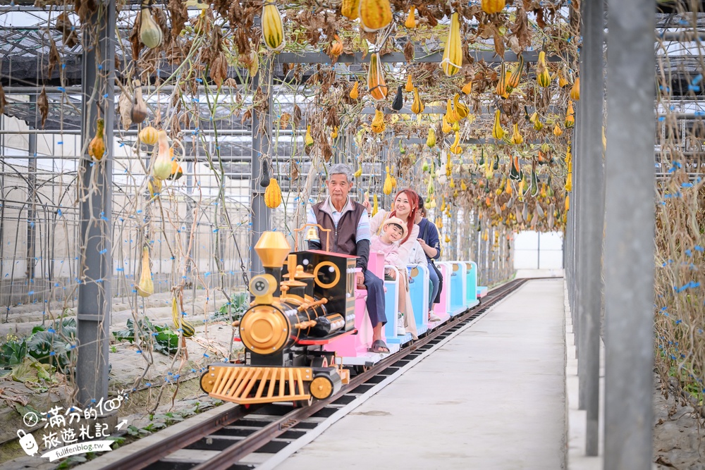 雲林【綠金蕃茄南瓜農場】全台唯一南瓜隧道小火車.可無限次搭乘.全室內景點.玩拍七彩南瓜.還有採果體驗唷!