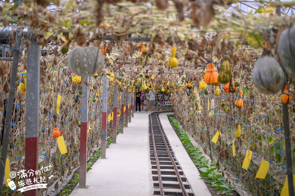 雲林【綠金蕃茄南瓜農場】全台唯一南瓜隧道小火車.可無限次搭乘.全室內景點.玩拍七彩南瓜.還有採果體驗唷!