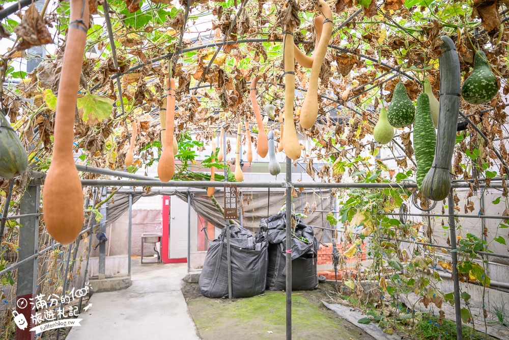 雲林【綠金蕃茄南瓜農場】全台唯一南瓜隧道小火車.可無限次搭乘.全室內景點.玩拍七彩南瓜.還有採果體驗唷!