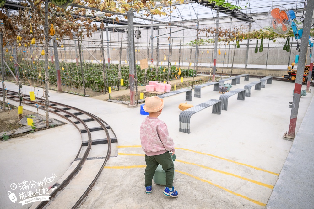 雲林【綠金蕃茄南瓜農場】全台唯一南瓜隧道小火車.可無限次搭乘.全室內景點.玩拍七彩南瓜.還有採果體驗唷!