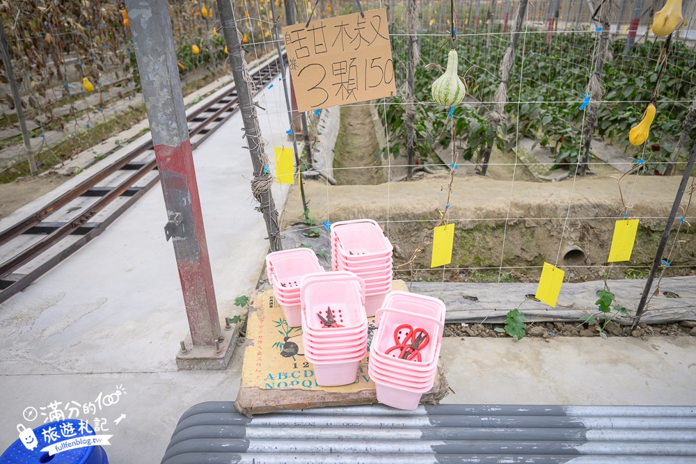 雲林【綠金蕃茄南瓜農場】全台唯一南瓜隧道小火車.可無限次搭乘.全室內景點.玩拍七彩南瓜.還有採果體驗唷!