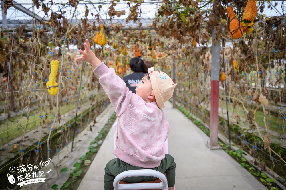 雲林【綠金蕃茄南瓜農場】全台唯一南瓜隧道小火車.可無限次搭乘.全室內景點.玩拍七彩南瓜.還有採果體驗唷!